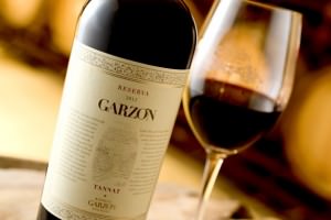vinos del mundo