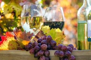 vino con frutas