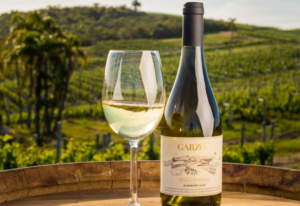enfriador de vinos