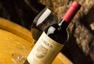 recetas de tragos