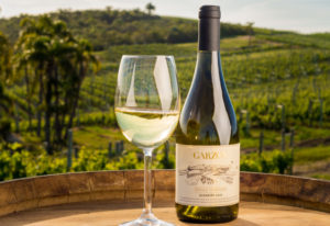 cepas de vino 2