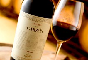 vino garzón