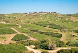 terroir