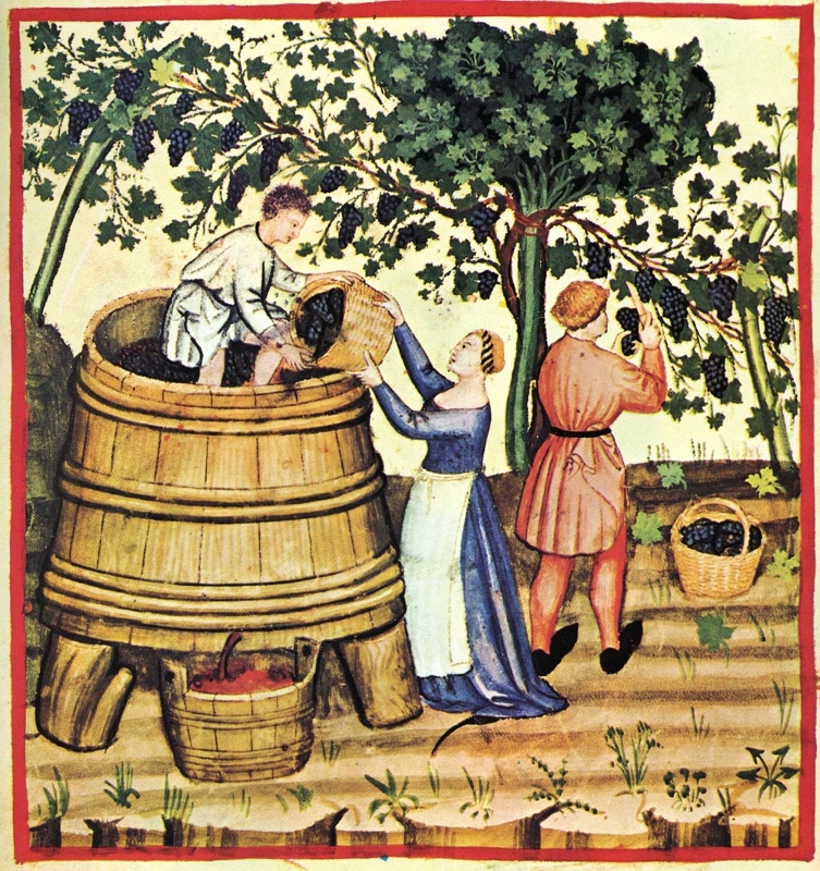 circuito productivo del vino