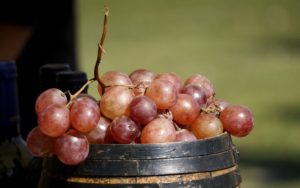 maduracion del vino
