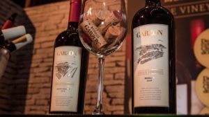uva merlot
