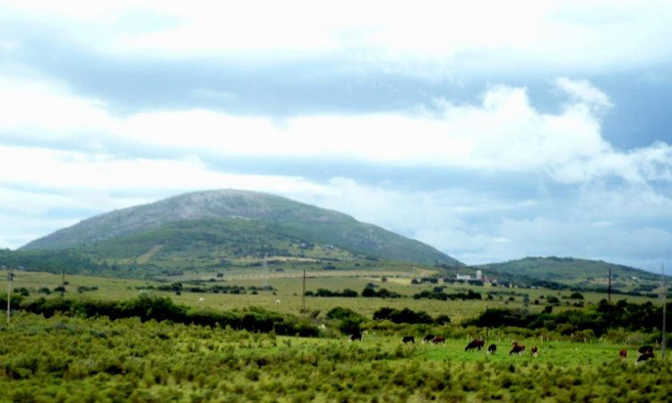 Cerro Pan de Azúcar