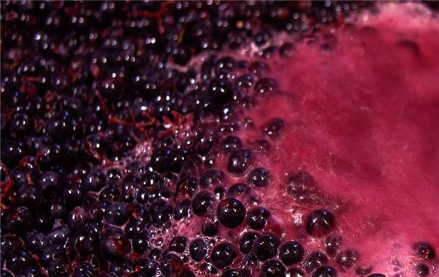 10 términos sobre la elaboración del vino