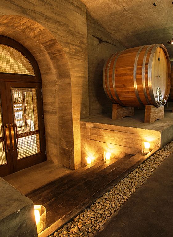 Discover the hidden corners of the winery and the vineyard while enjoying our most iconic wines