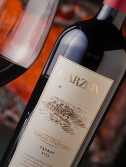 garzon tannat single vineyard 2021