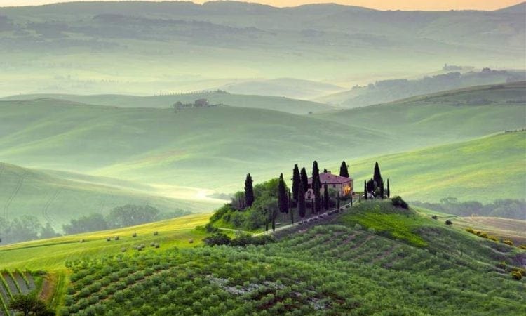 Los 5 mejores lugares turísticos del mundo para los amantes del vino