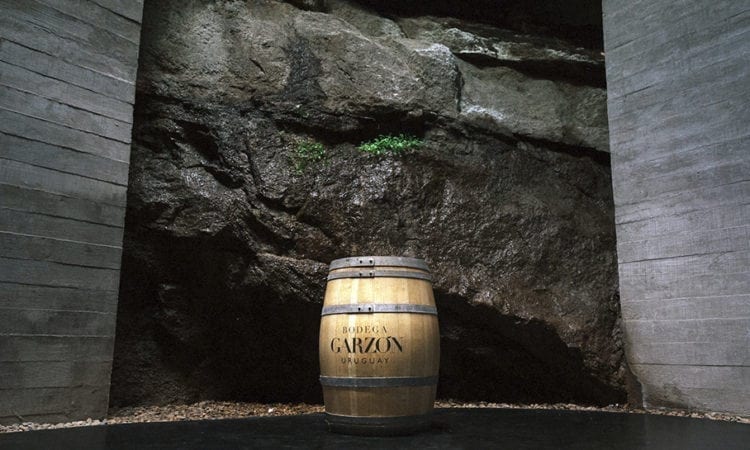 We are launching a new experience: Tour at Bodega Garzón
