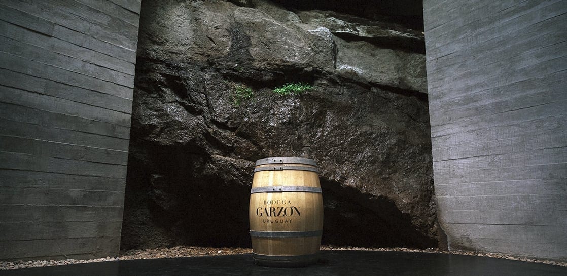 Uma experiência para conhecer a bodega garzón em profundidade, desfrutar de seu ambiente e degustar uma seleção de vinhos da linha reserva. 