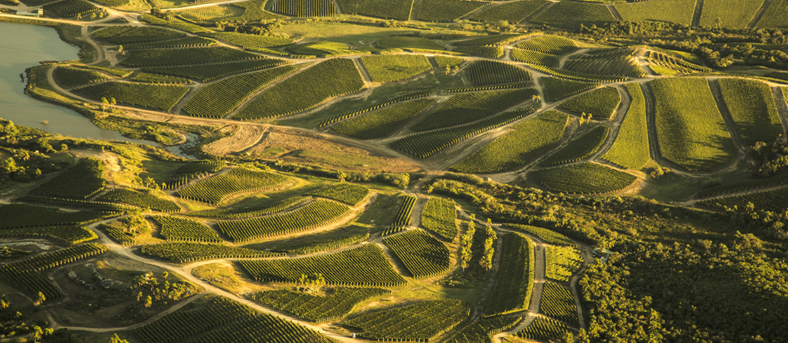 Ecotourism experience where you can visit the winery facilities, enjoy a tour around the vineyard and participate in an exclusive tasting in our tasting room