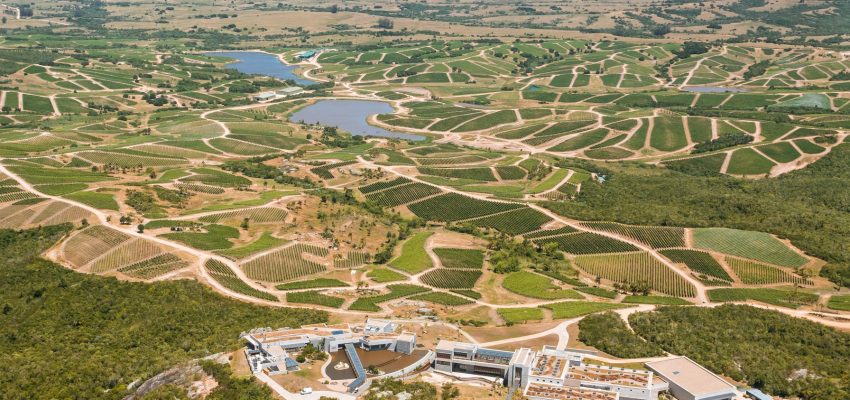 Petit Clos Albariño Top 100 Wine Enthusiast