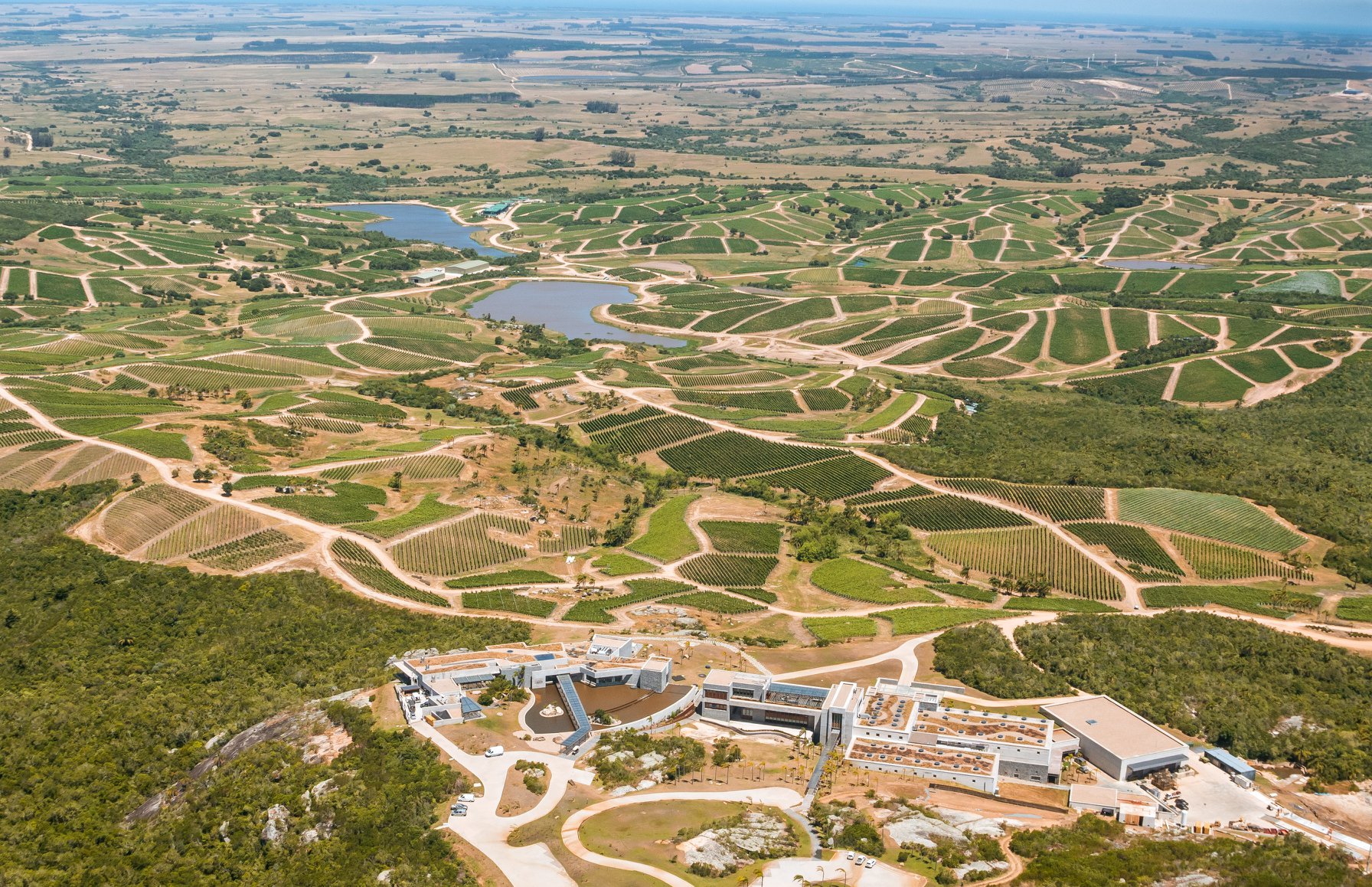 Petit Clos Albariño Top 100 Wine Enthusiast