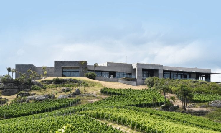 Bodega Garzón acordó un partnership con UNA