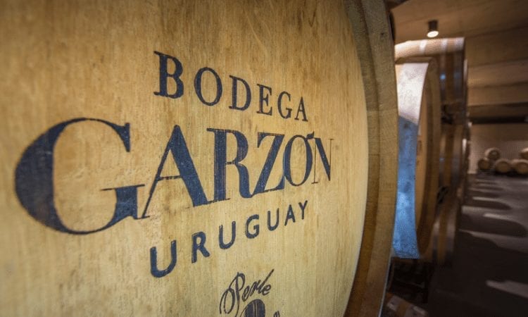 Bodega Garzón en el ranking de Bodegas destacadas a nivel mundial