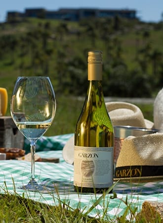 Disfrute de un almuerzo en los viñedos Disfrute de un almuerzo en los viñedos