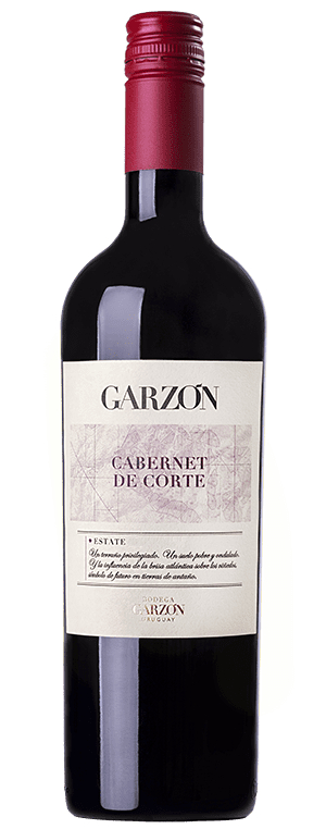 bodega garzon dűlő tannat 2021