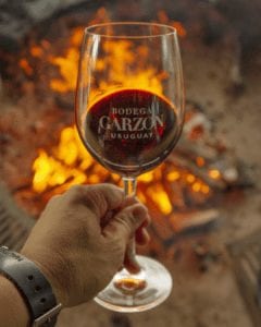 Blog Bodega Garzón - Lomo al vino tinto: una receta gourmet