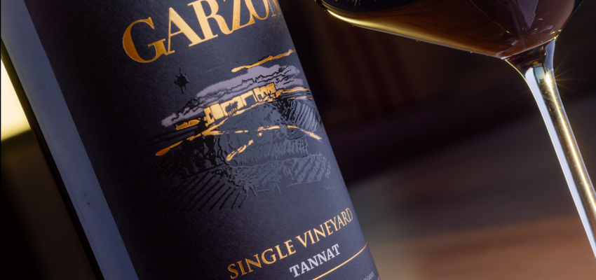 Tannat Single Vineyard 2020, Trophy no International Wine Challenge