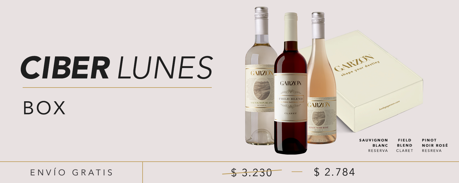 Box Ciber Lunes