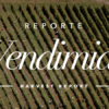 reporte vendimia 2025