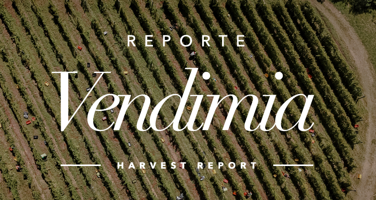 Harvest Report 2025