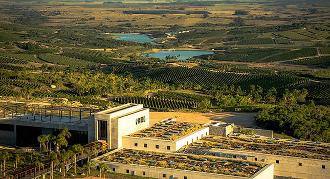 From the Andes to the Atlantic. A journey through South America’s most iconic terroirs