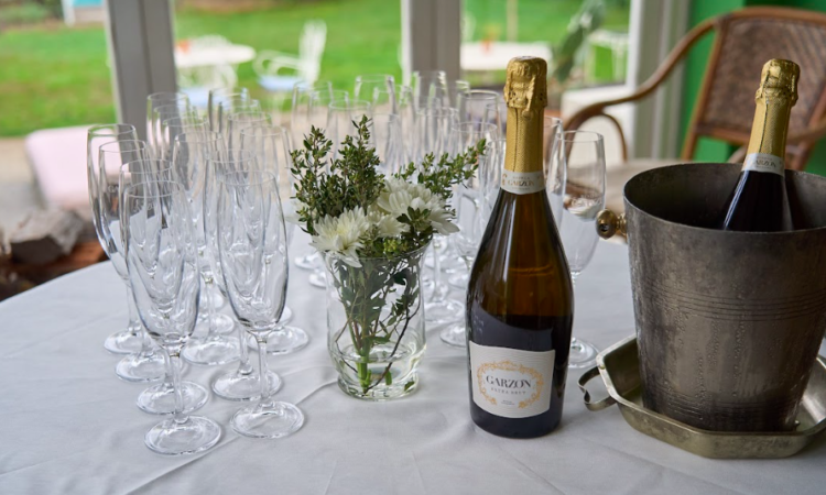 ¿Buscando vinos para las fiestas? Estas son nuestras recomendaciones