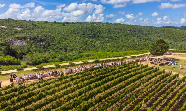 Fiesta de la Vendimia 2026