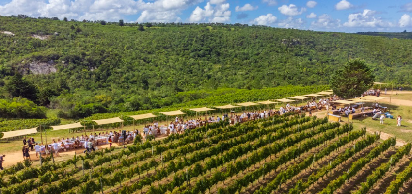 Fiesta de la Vendimia 2026