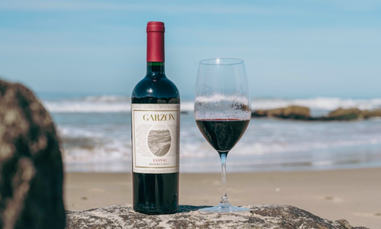 Vinhos para os primeiros frios do ano