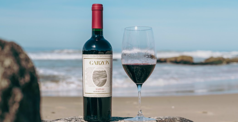 Vinos para los primeros fríos del año